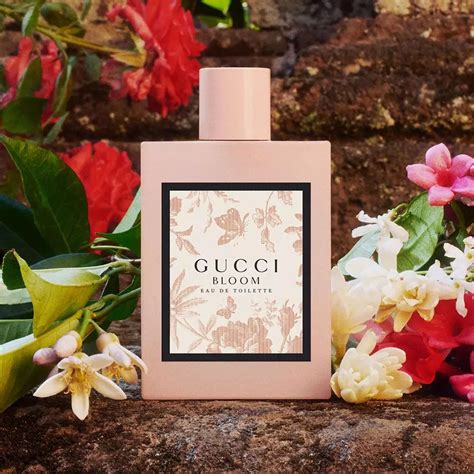 gucci bloom edt vs edp|gucci bloom women pics.